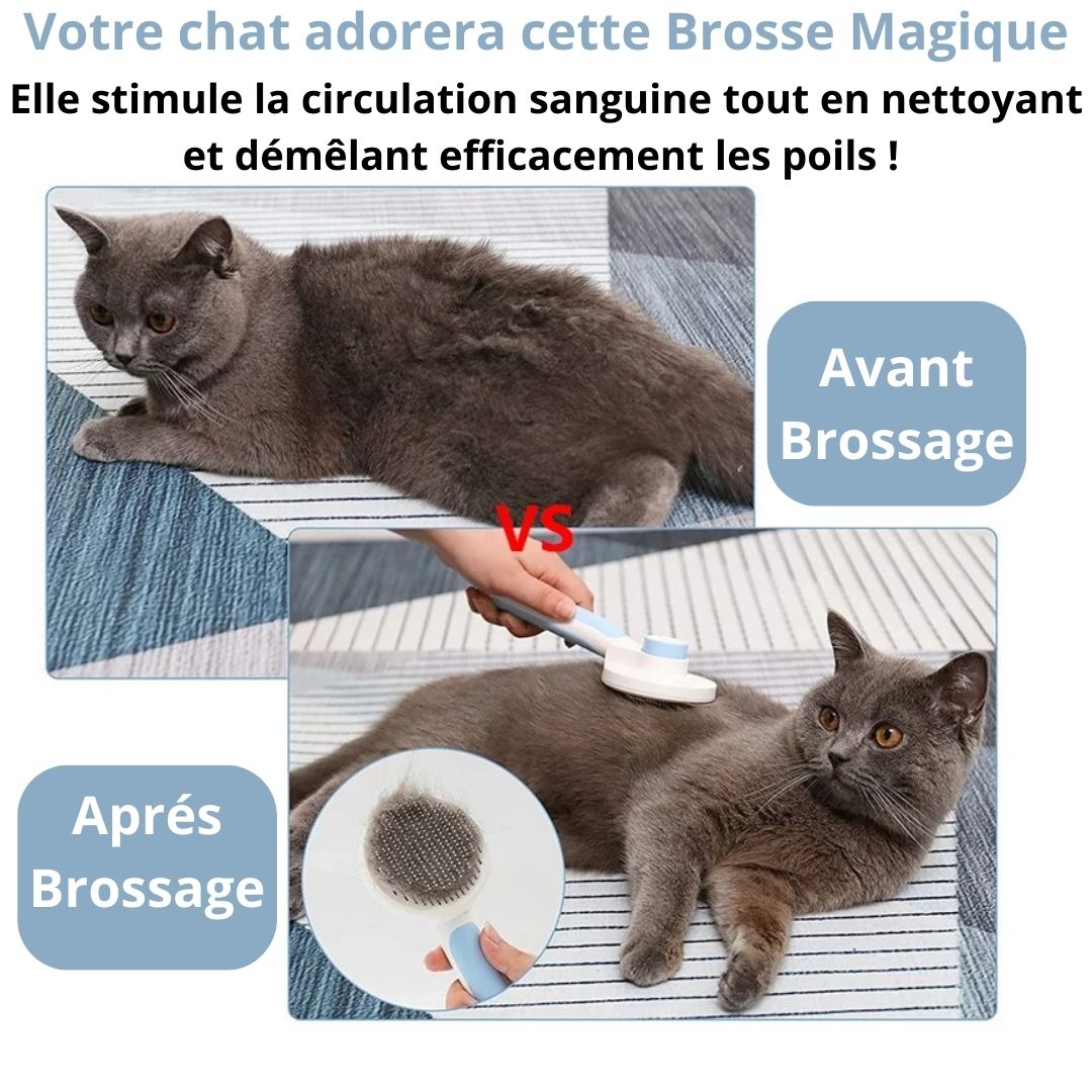 Brosse Magique Autonettoyante™ - Chat-Bastet