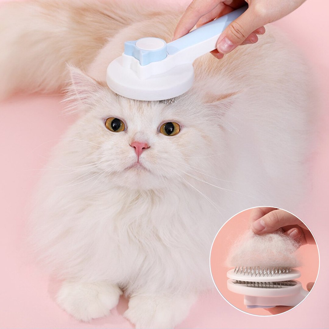 Brosse Magique Autonettoyante™ - Chat-Bastet