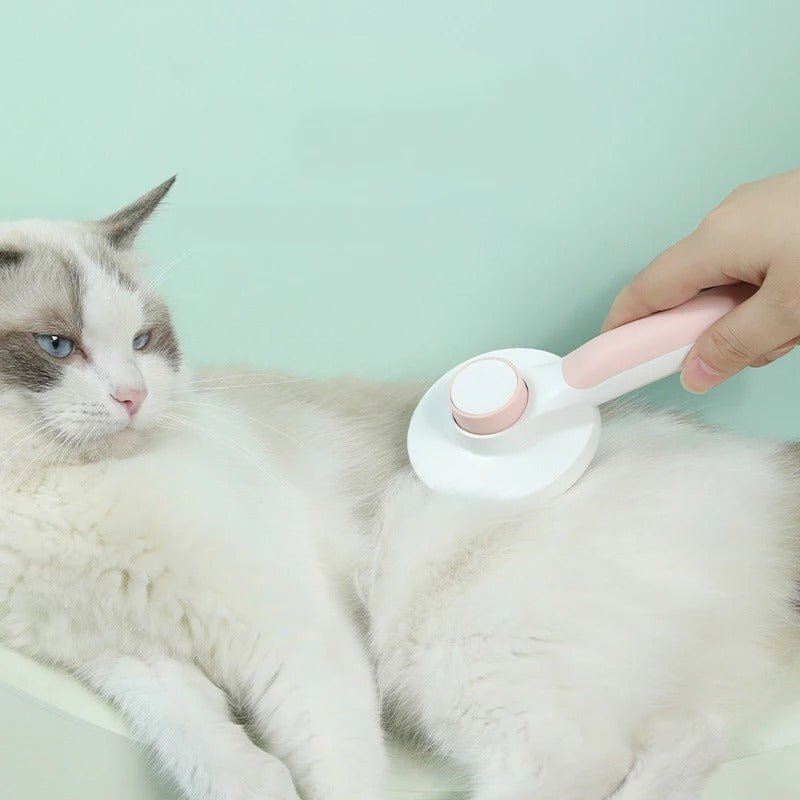 Brosse Magique Autonettoyante - Magic Brush™ - Chat-Bastet