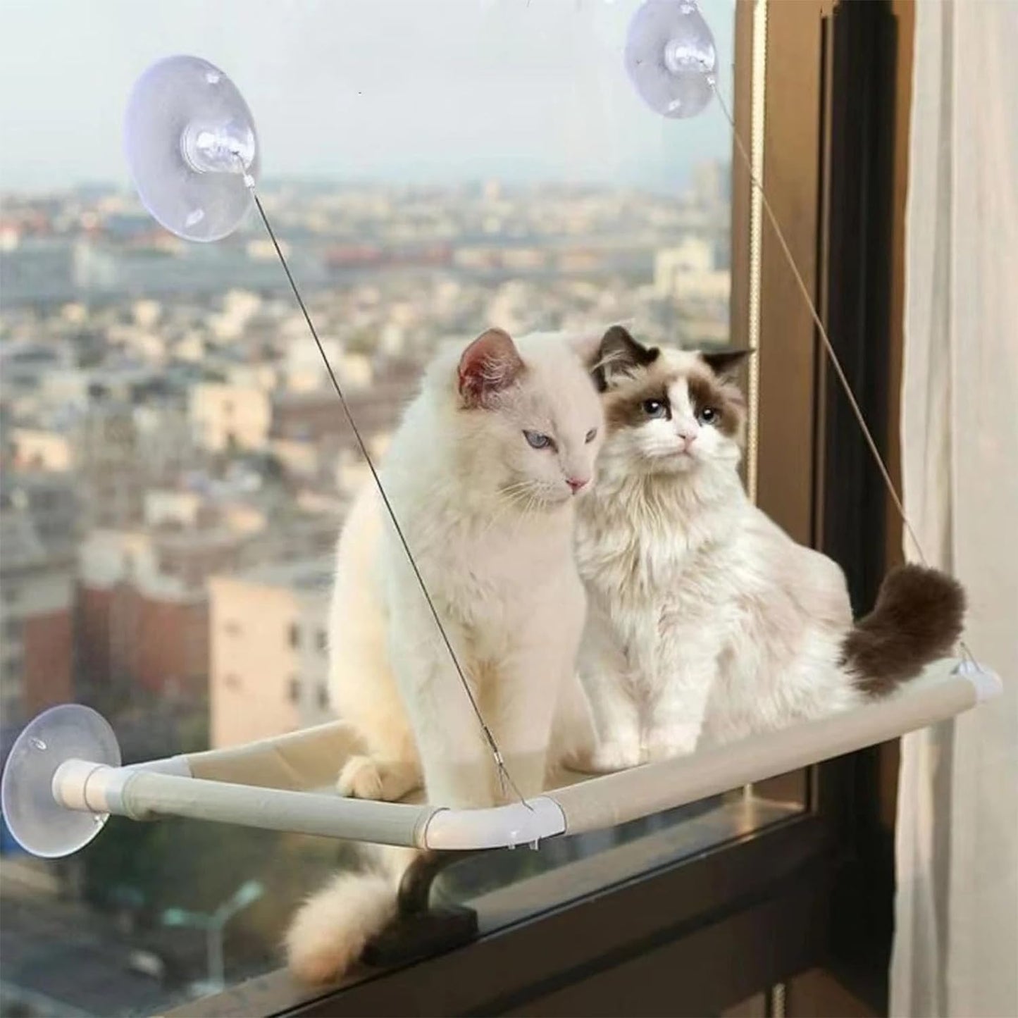 cat-perch™, le hamac de fenêtre pour chat - Chat-Bastet