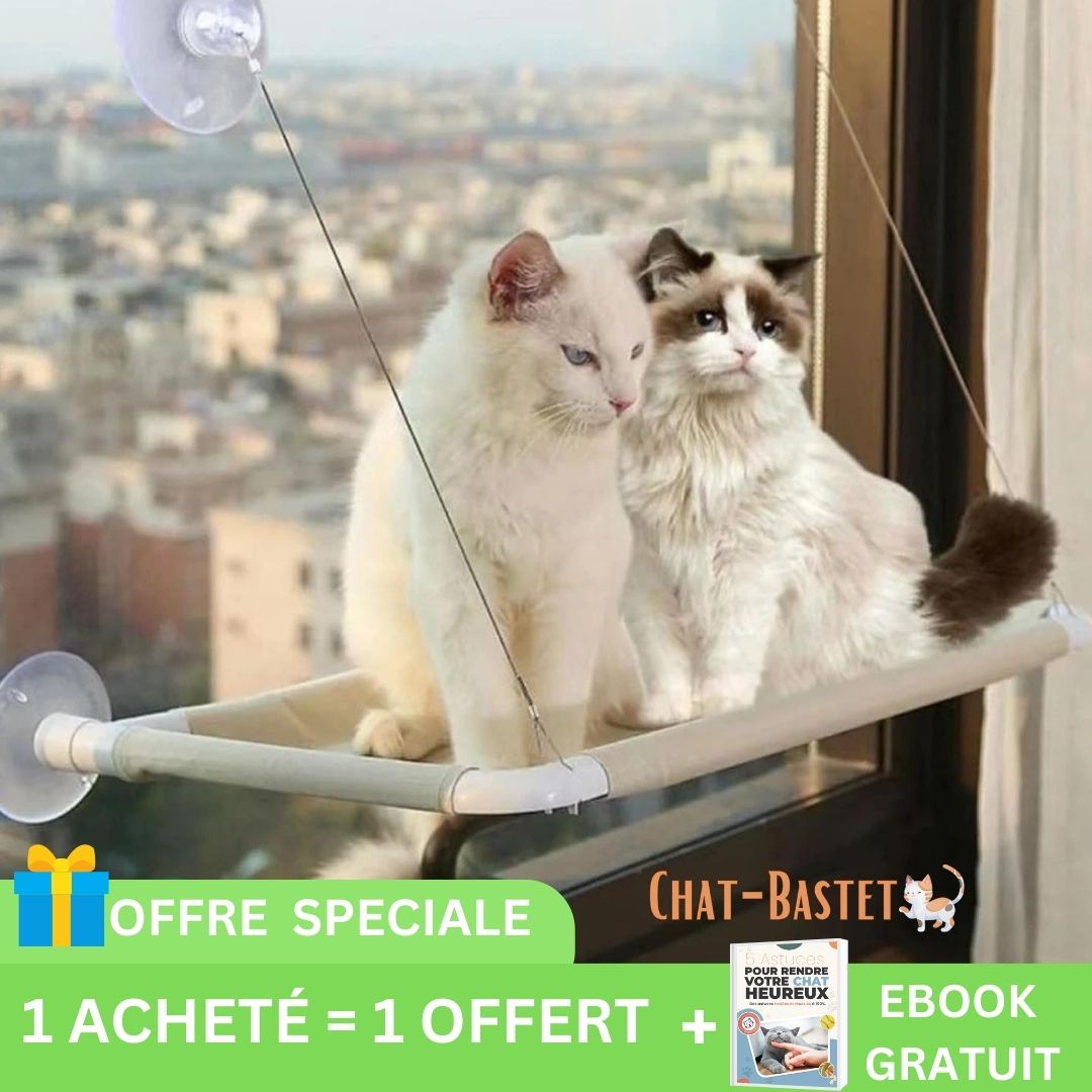 cat-perch™, le hamac de fenêtre pour chat - Chat-Bastet