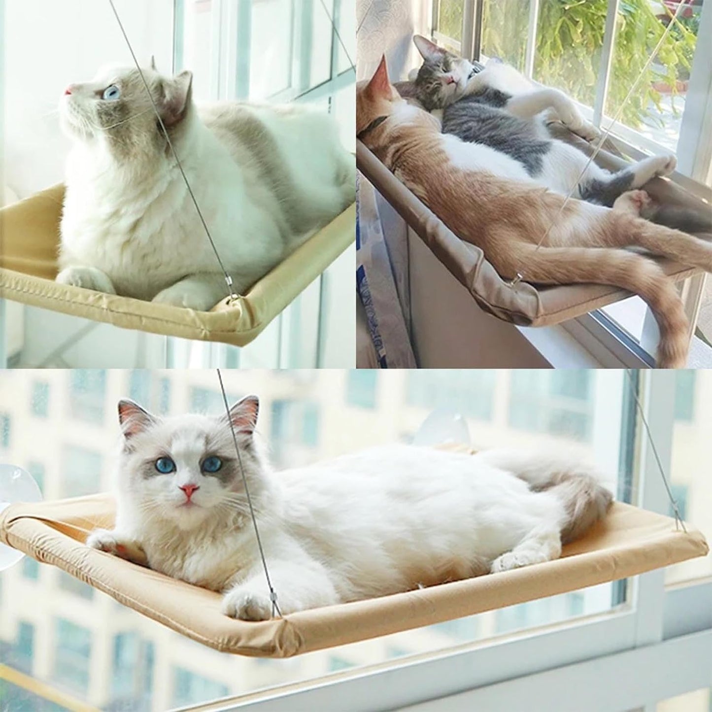 cat-perch™, le hamac de fenêtre pour chat - Chat-Bastet