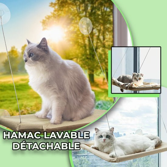 cat-perch™, le hamac de fenêtre pour chat - Chat-Bastet