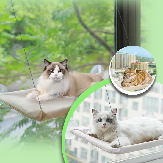 cat-perch™, le hamac de fenêtre pour chat - Chat-Bastet