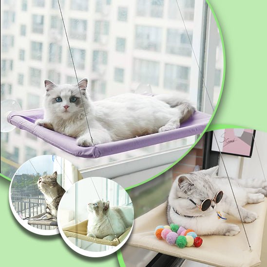 cat-perch™, le hamac de fenêtre pour chat - Chat-Bastet