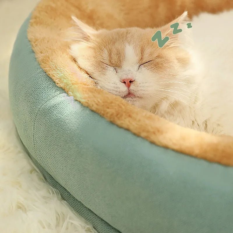 Lit Cat-Bed™ pour Chats : Un Palais de Confort et de Luxe pour Votre Compagnon Félin ! - Chat-Bastet