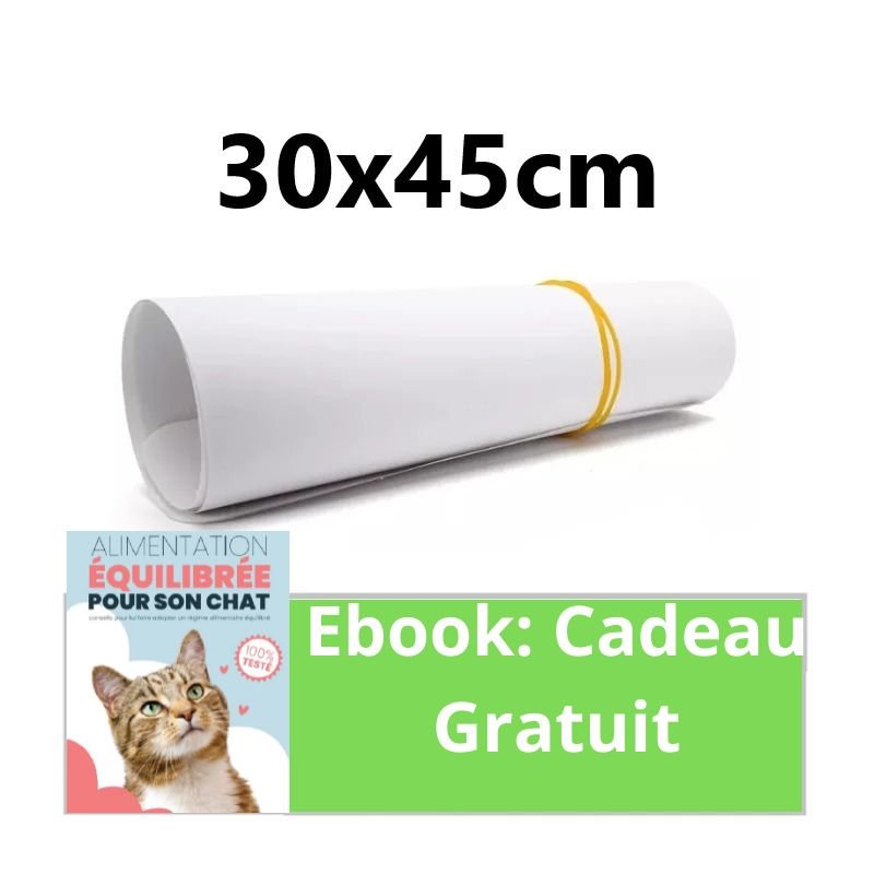 RUBAN PROTECTEUR ADHÉSIF - Easy protect™ - Chat-Bastet